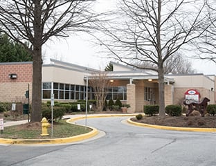 our animal hospital in annapolis, md