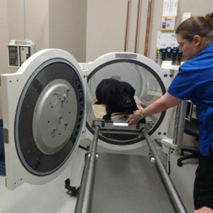 hyperbaric oxygen therapy in towson, columbia and annapolis, md
