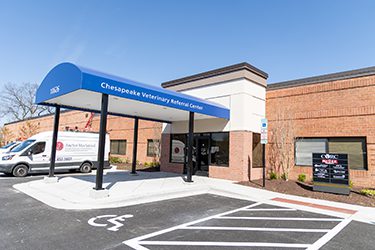 veterinarian in towson, md